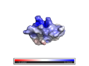 APBS Electrostatic Surface of Vm24, 2k9o