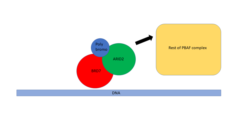 Image:PBAF BD7 schematic.png