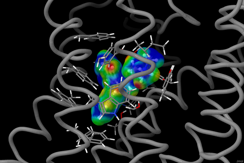 Image:3rze-contact-surface-sidechains-trace.pngj.png
