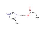 Potential LBHB formed between catalytic residues His46 and Asp81 that may aid in catalysis through stabilization of the tetrahedral intermediate (based on mechanistic homology with chymotrypsin).