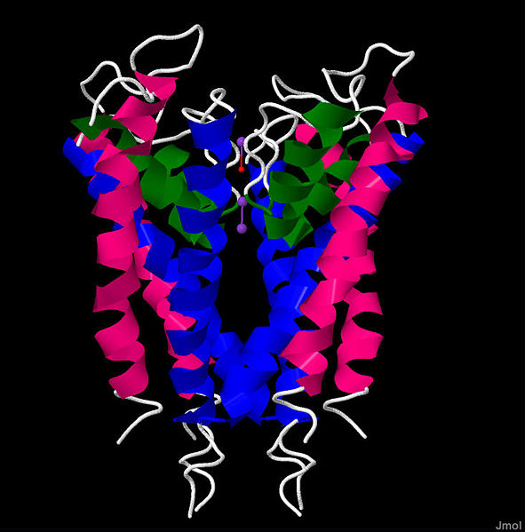 Image:1BL8 Side.jpg