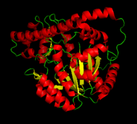 Aspartate Aminotransferase