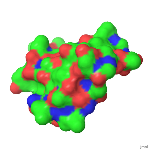 Image:1crn surf p3.png