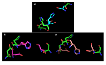 Figure 2: a) Alignment of 4Q7Q's putative catalytic triad (shown in green) and 3LIP's catalytic triad (shown in blue). The RMS is 2.257. b) Alignment of 4Q7Q's putative catalytic triad (shown in green) and 1TAH's catalytic triad (shown in pink). The RMS is 2.205. c) Alignment of 4Q7Q's putative catalytic triad (shown in green) and 1BWR's catalytic triad (shown in pink). The RMS is 2.049.