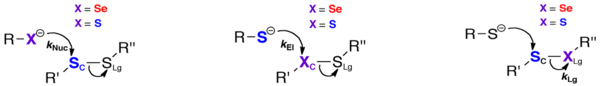 Selenium replaces sulfur in enzymes that utilize thiol/disulfide exchange reactions. This reaction can be accelerated by selenium in three different ways. (A) Since Se is a better nucleophile than S, nucleophilic attack is faster. (B) Thiol/disulfide exchange can also be accelerated by the center atom (Xc) being a good electrophile. (C) Last, the reaction is also sensitive to leaving group ability, which is largely determined by the pKa of XLg. While Se accelerates thiol/disulfide exchange reactions by all of the ways shown above, it accelerates the reaction up 104-fold faster by being a better electrophile.