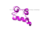 Figure 2: Insulin molecule. PDB 3I40
