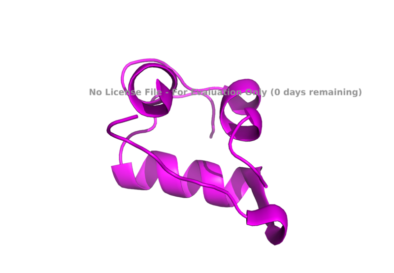 Image:Purple insulin.png