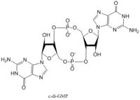 cyclic-dimeric-GMP