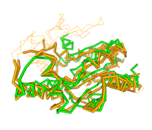 Spatial alignment of putative kinase 3HDT (green) with two cytidylate kinases: 7L4A (dark brown) and 1KDO (light brown).