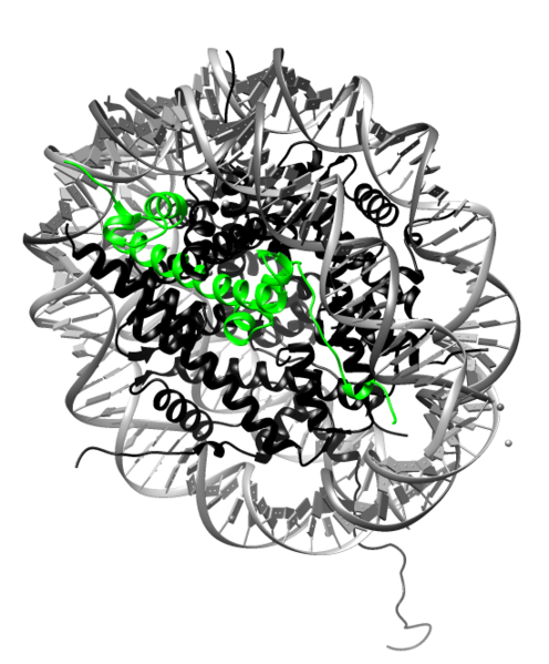 Image:H2A.png