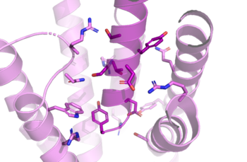 Figure 2. Residue Interactions with Tirzepatide