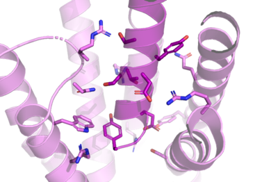 Figure 2. Residue Interactions with Tirzepatide