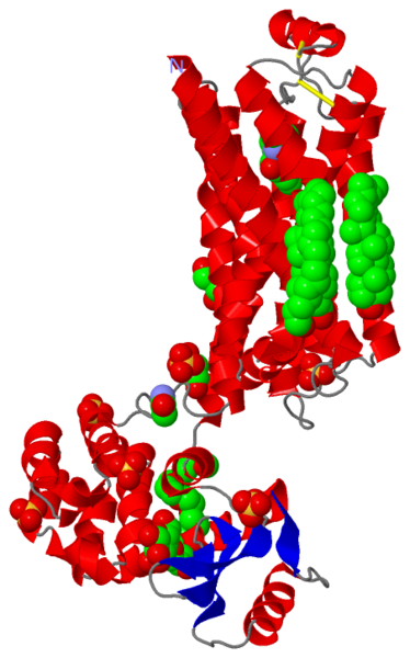 Image:2rh1.png