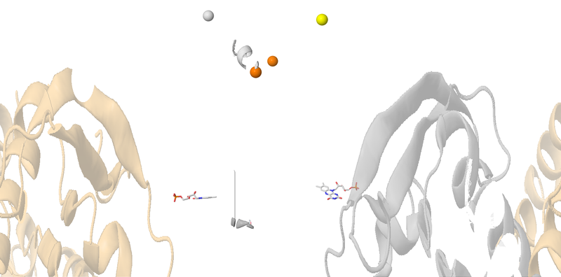 Image:008 Fig 1a.png