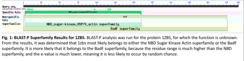 Image:BLASTPFigure.png