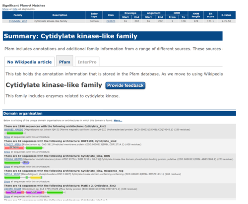 Pfam results showing 3HDT is similar to cytidylate kinase-like family proteins.