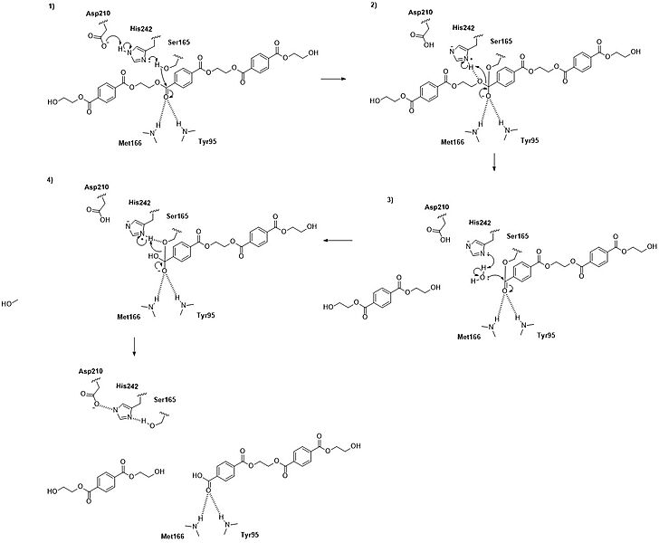 Image:FinalMechanism.jpg