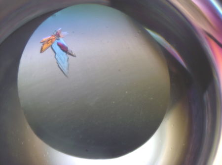 Screenshot of IBA57 crystals