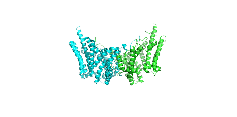 Image:Dgat dimer 2.png