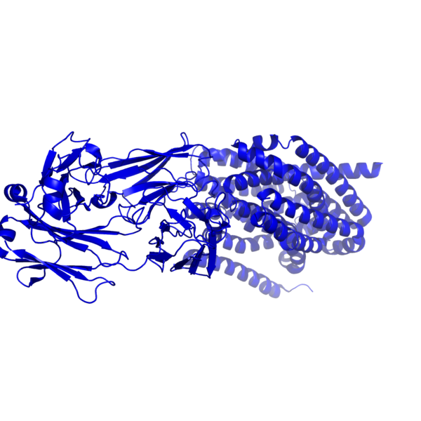 Image:Figure1 full structure.png