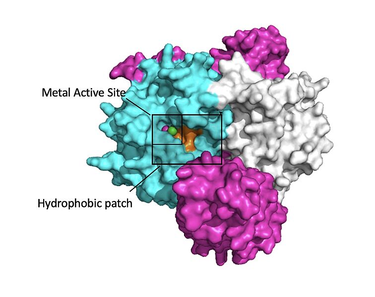 Image:Hydro.jpg