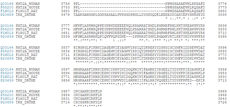 Figure 7. KMT2A Conservation between Humans, Rats, Mouse and Fruit Flies 
