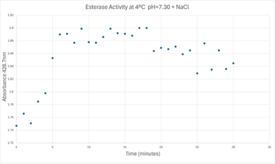 Absorbance at 405nm of a PNPA+Protein solution  with pH = 7 and sodium chloride in a cold environment.