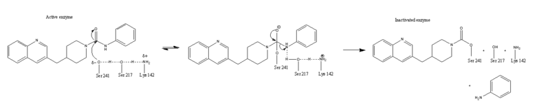 Image:Catalytic triad2.png