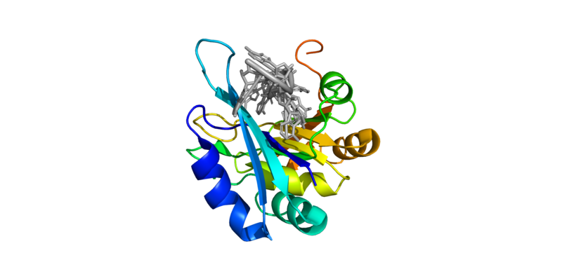 Image:Lookingdowntroughw-RNA3.png