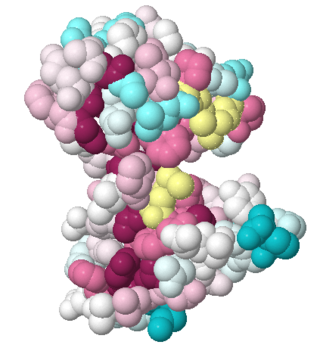 Fig.3 The evolutionary conservation of 1tsj. The figure was produced with ConSurf-DB.