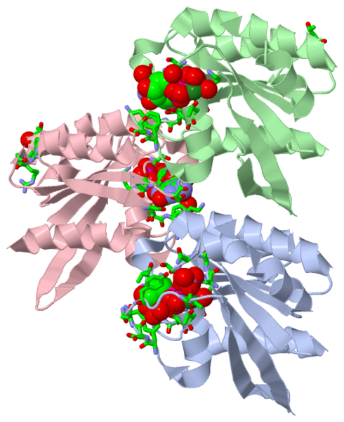 Image:2e9s.png
