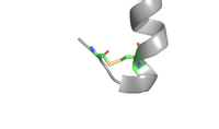 Disulfide Bond