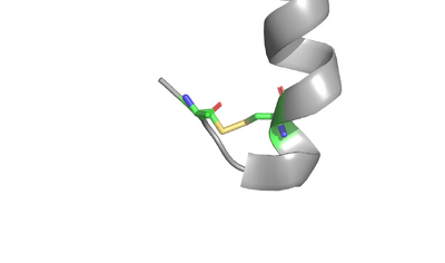 Disulfide Bond