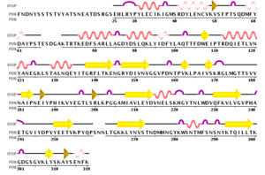 Secondary Structure of TcpF, generated by PDB 1xtc