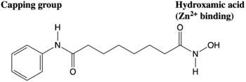 Figure 3. The anticancer agent Vorinostat is an example of an HDAC inhibitor that is currently undergoing clinical trials.