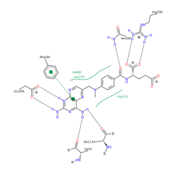 Methotrexate Variant Residue Interaction
