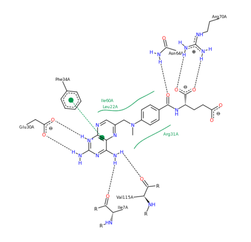 Methotrexate Variant Residue Interaction 