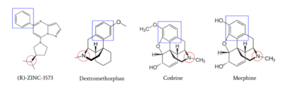 Figure 4: Structures of (R)-Zinc-3573, Dextromethorphan, Morphine, and Codeine. The red circles indicate conserved basic N-dimethyl group and the blue squares show the conserved benzene rings.