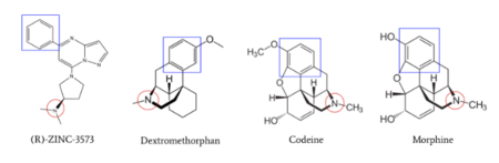 Figure 6: Structures of (R)-Zinc-3573, Dextromethorphan, Morphine, and Codeine. The red circles indicate conserved basic N-dimethyl group and the blue squares show the conserved benzene rings.