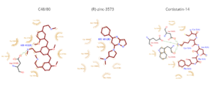 Ligands, alpha helices, and beta sheets of NrdH