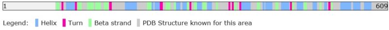 Image:Secondary structure.jpg