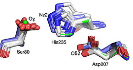 Best fit overlay of the Cɑ positions of SABP2 structures (three structures, light blue carbons) and HbHNL structures (eighteen structures, white carbons) onto the structure of HNL6V (green sticks). The catalytic atoms of the catalytic triad of this α/β-hydrolase fold, in HNL6V (Oɣ of S80, Nε2 of H235, Oδ2 of D207) overlay more closely with the corresponding atoms in the HbHNL structures (S80, H235, A207) than with the corresponding atoms in the SABP2 structures (S81, H238, D210). .