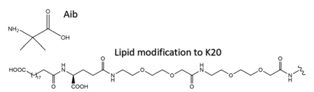 Structure of 2-Aminoisobutyric acid and the C20 fatty diacid moiety. Tirzepatide is modified with Aib at position 2 and 13 and the fatty diacid at K20.