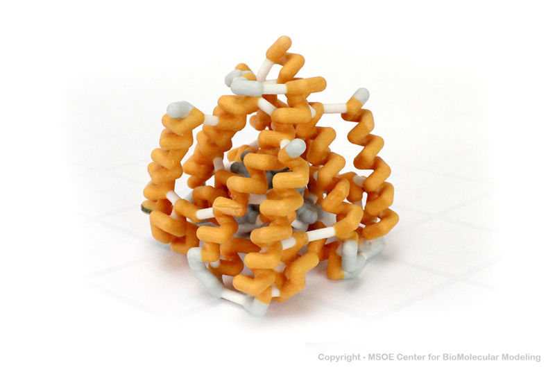 Image:SodiumChannel 2 centerForBiomolecularModeling.jpg