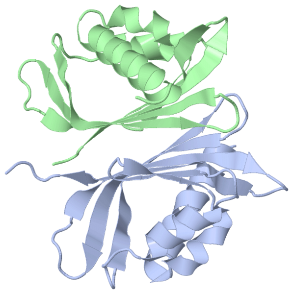 Image:1ar0.png