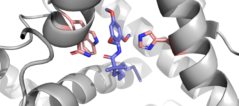 Image:Inhibitor plus Residues.png