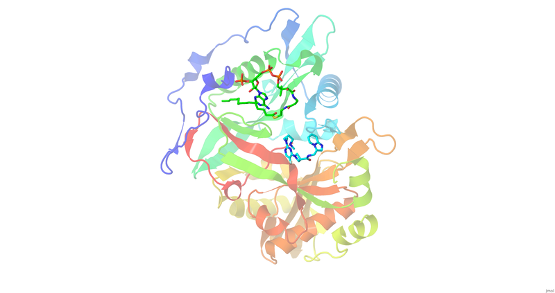 Image:006 Init Fig.png