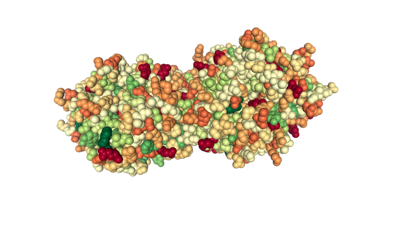 Image:Hydrophilicprotein.png