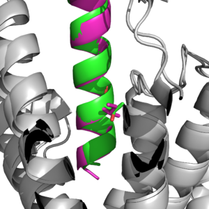 Figure 2: Key difference between GIP ligand and Tirzepatide at position 7. Ile7 is in pink (ligand), and Thr7 is in aqua(tirzepatide).