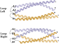 Figure 3. Unresolved residues of "loop left" structure (PDB: 8H7C).